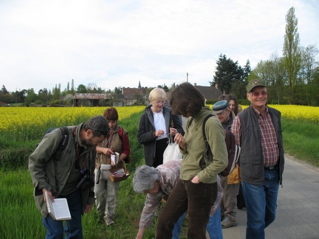 2008 04  Bota et Myco 02